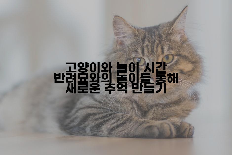 고양이와 놀이 시간 반려묘와의 놀이를 통해 새로운 추억 만들기