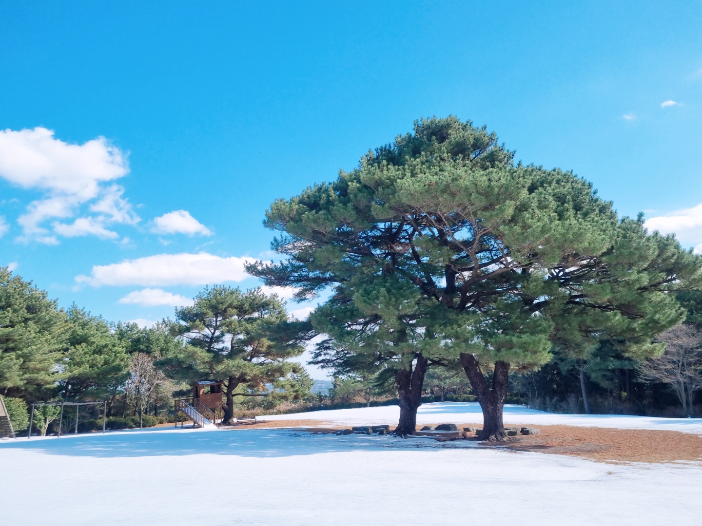 상효원 수목원