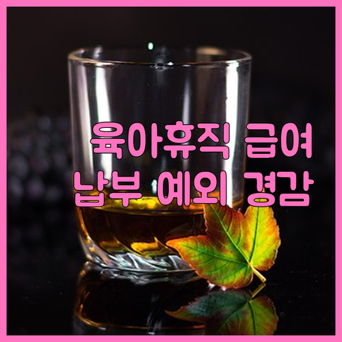 육아휴직 급여 받으며 사회보험 납부 ..