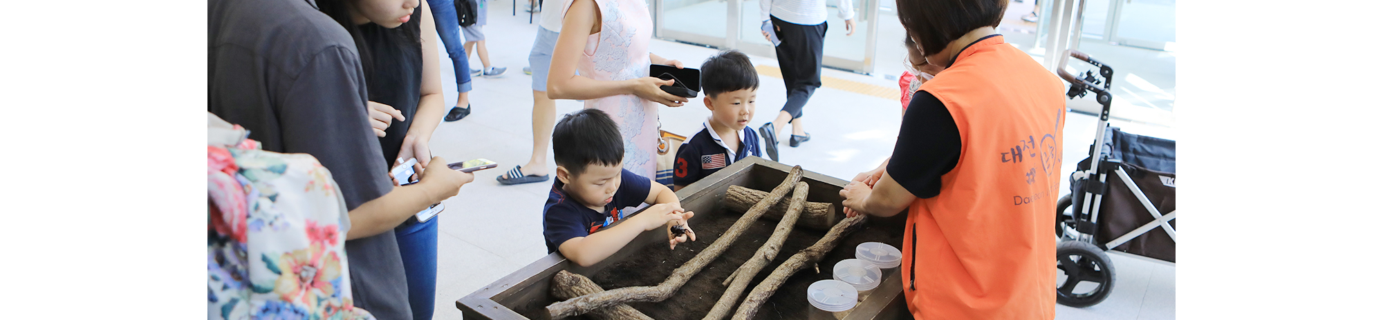 대전곤충생태관 반딧불이 불빛 체험