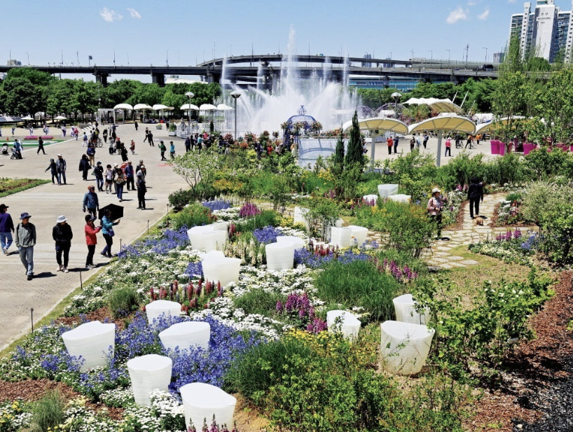 한강 뚝섬공원 이미지