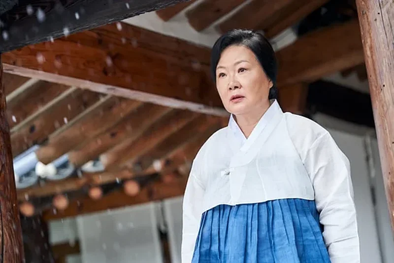 Mr. 플랑크톤에서 범호자 역을 맡은 김해숙
