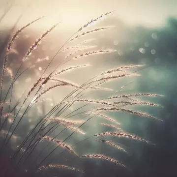 부러지지 않는 법 &ndash; 혼자 서는 풀잎의 용기