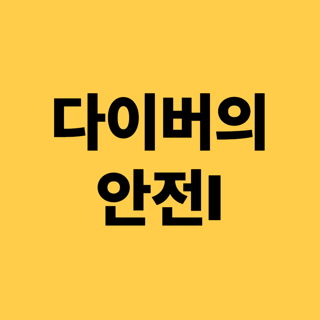 다이버의 안전I