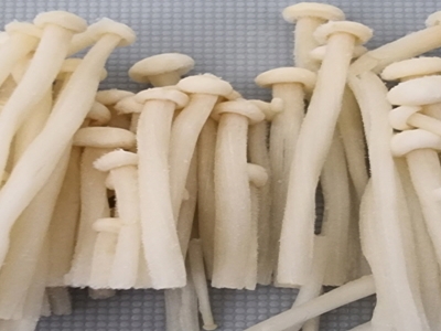 팽이버섯 사진2