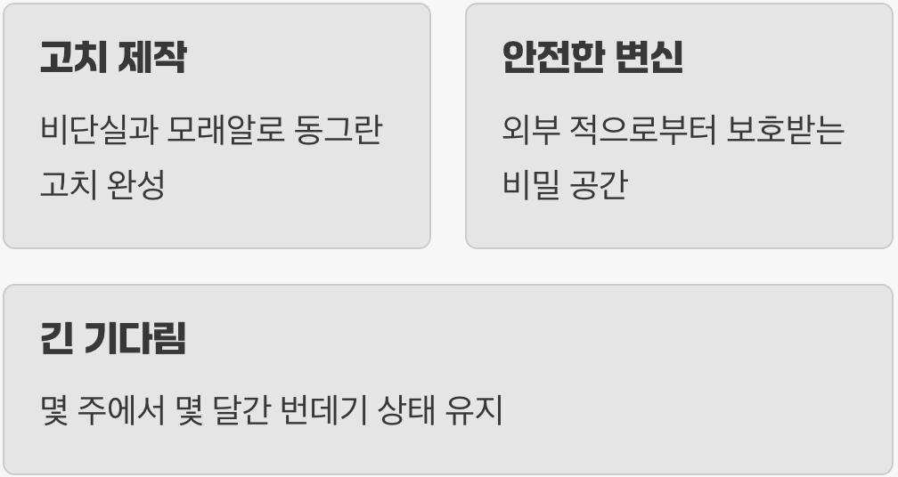 모래알로 짓는 비밀의 방