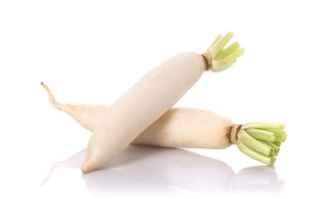 가래가 생기는 이유