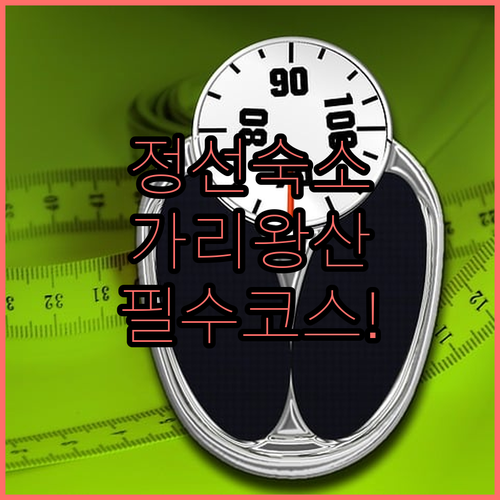 정선 여행 숙소 가이드 가리왕산 케이..