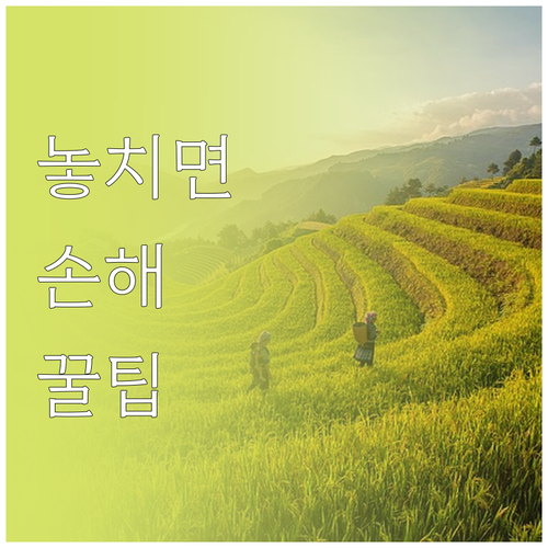 새 폰 구매 언제 가장 유리할까 출시..