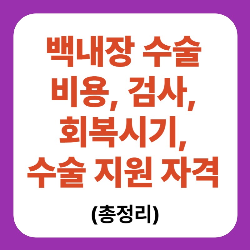 백내장 수술 비용 검사 회복시기 수술 지원 자격