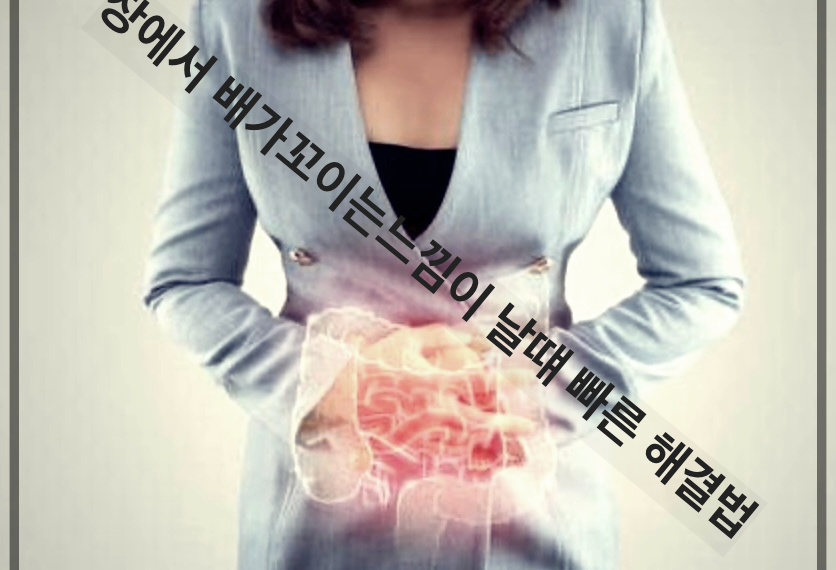 장에서 배가꼬이는느낌이 날떄 빠른 해결법