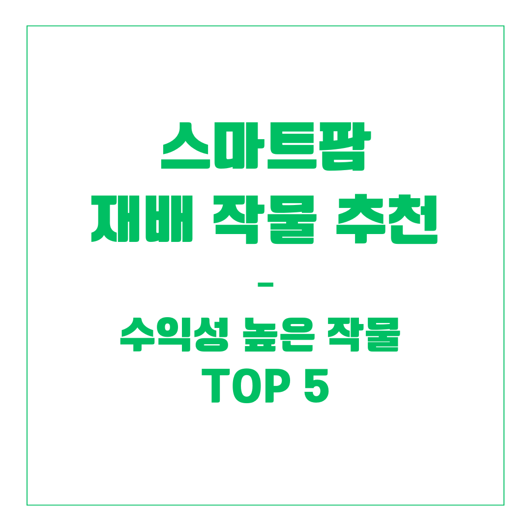 스마트팜 재배 작물 추천 – 수익성 높은 작물 TOP5