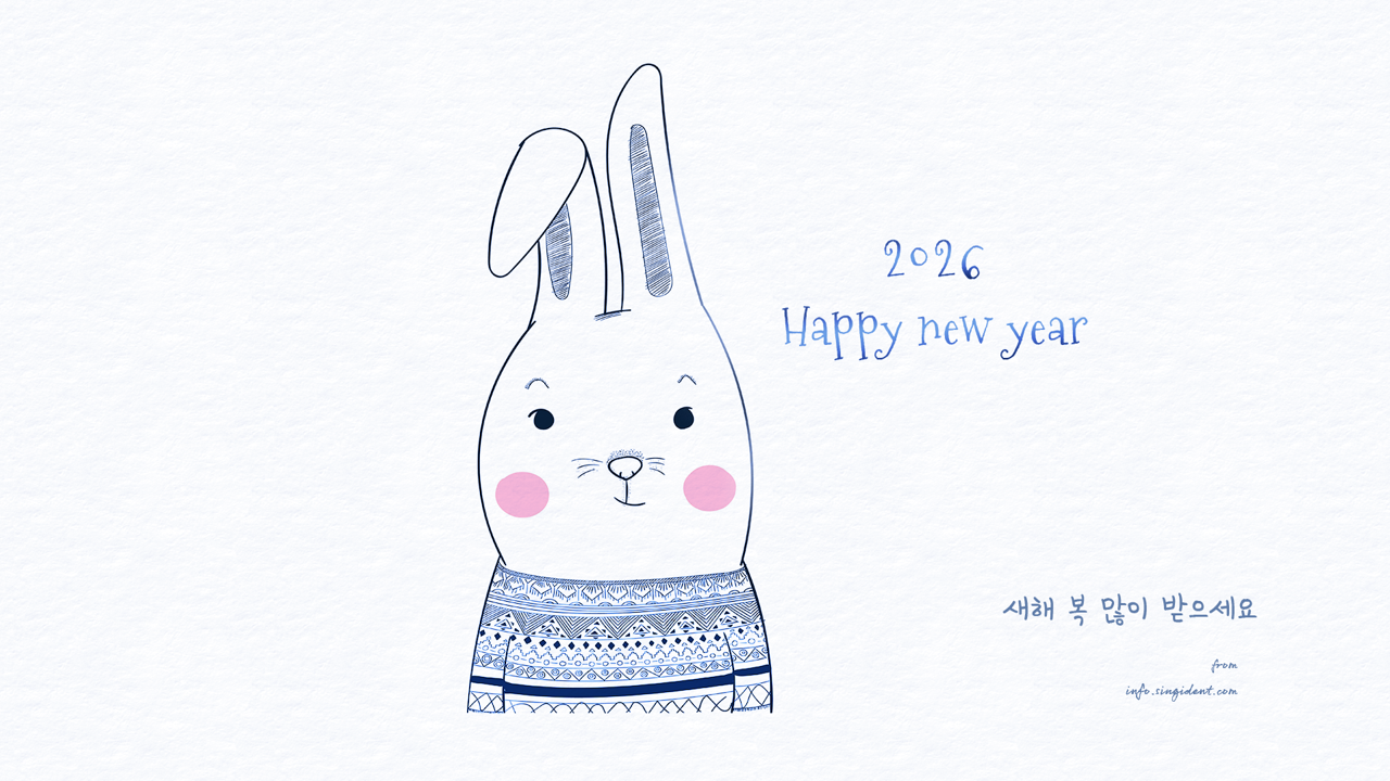 11 토끼 해피 뉴 이어 C - Happy new year 귀여운배경화면