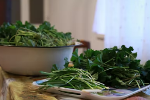 봄의 전령사 달래: 알리신의 살균 작용과 위장 질환 예방을 위한 황금 레시피