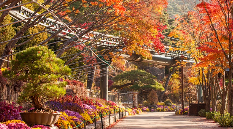 화담숲 단풍 예약 꿀팁