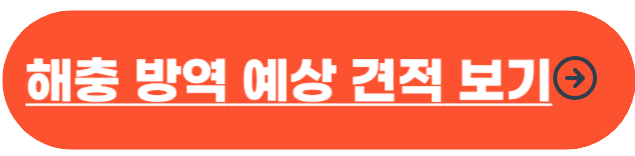 빈대 퇴치법