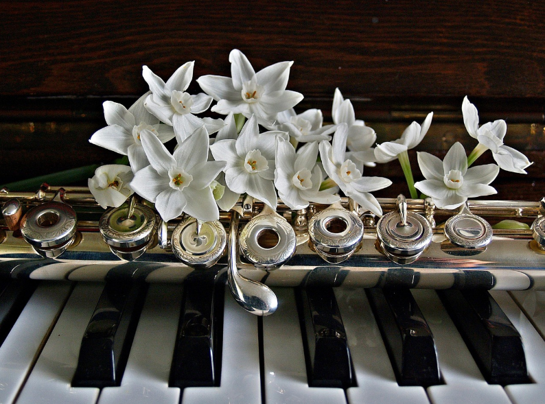 국내 음악대학 장단점비교관련 피아노 플루트사진