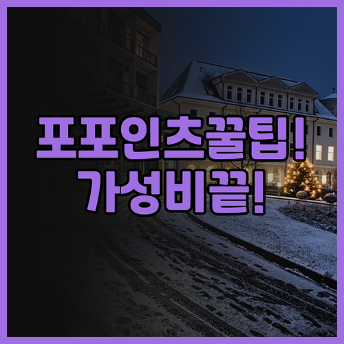 포 포인츠 플렉스 바이 쉐라톤 하코다..