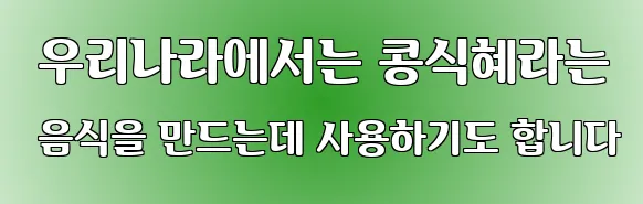  우리나라에서는 콩식혜라는 음식을 만드는데 사용하기도 합니다