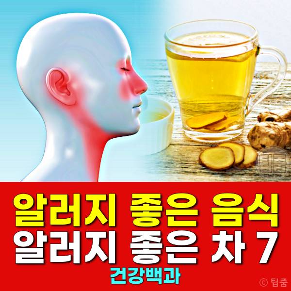 알러지에 좋은 음식 알러지에 좋은 차