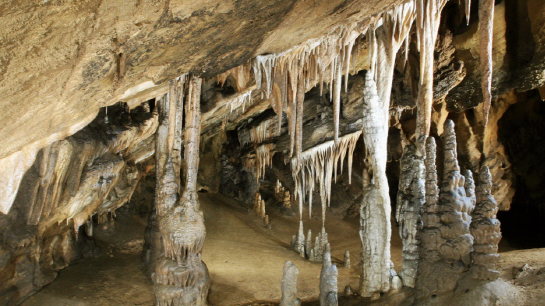 평창 가볼만한곳