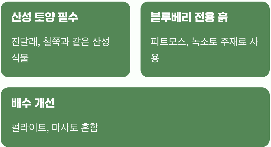 비결 1. 흙, '이것'이 운명을 결정한다