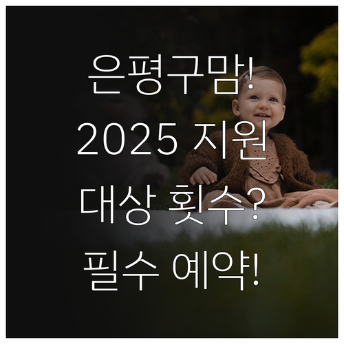 은평구 아이맘택시 2025년 지원 대..