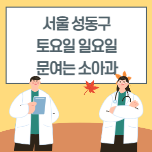 서울 성동구 토요일 일요일 소아과 진료 병원 리스트