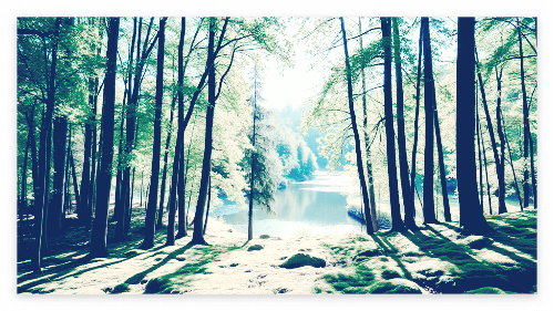 70세 여행자보험