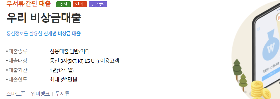 비상금 대출