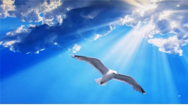 영화 <갈매기> 한 장면