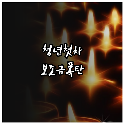 청년 생애 첫차 전기차 보조금 국비 ..