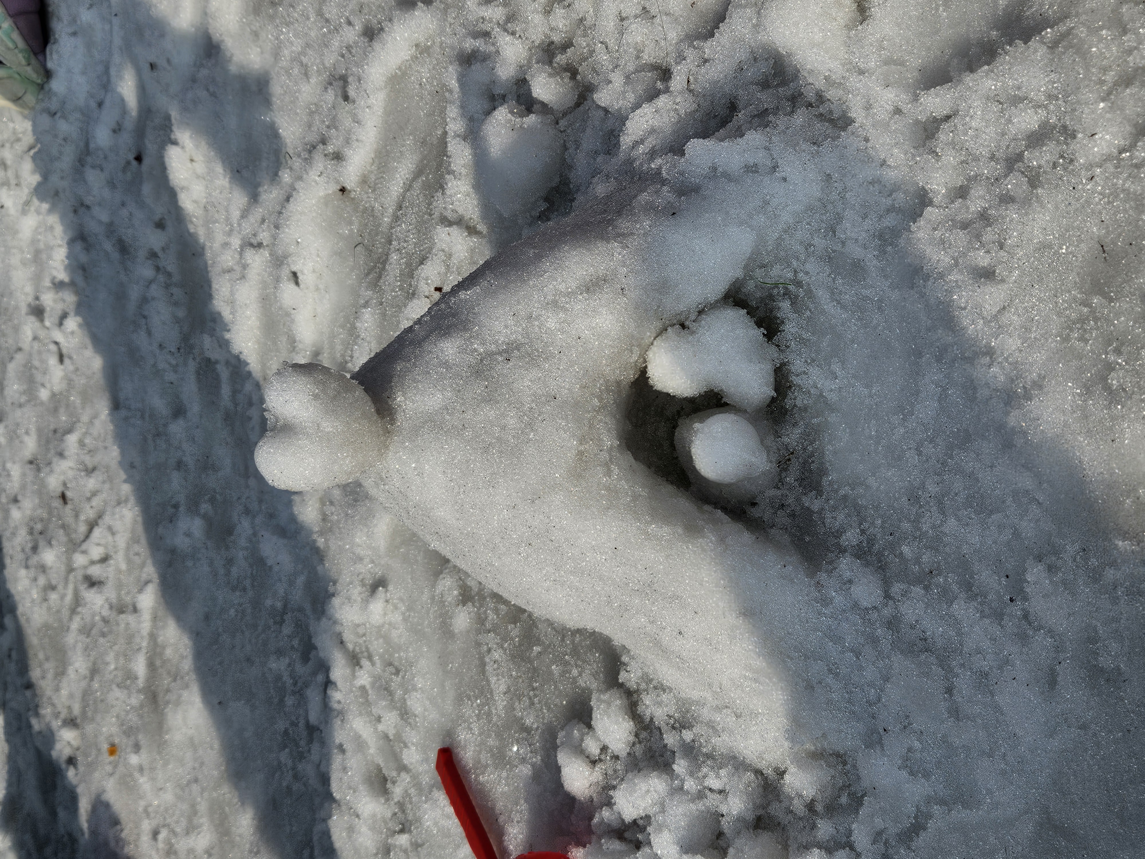 구미 낙동강 눈썰매장에서 아이와 함께 만든 하트 모양 눈 성과 겨울 야외놀이 추억