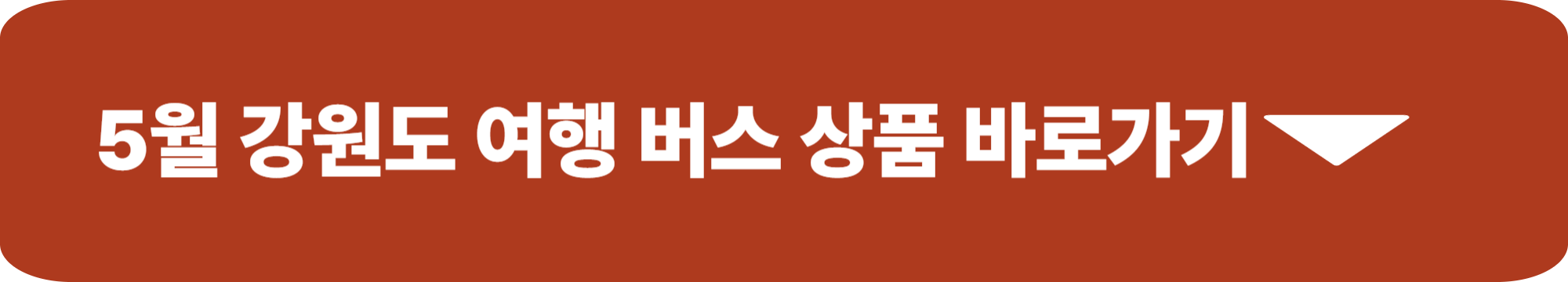 5월 강원도 여행