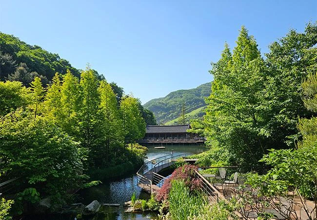 화담숲 사진