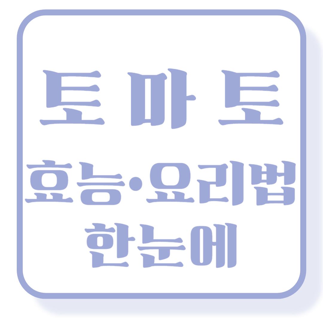 토마토 효능 및 요리법, 보관, 손질까지