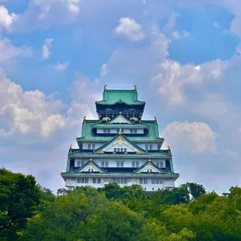 일본여행에서 구매한 빵 과자 기내반입 가능할까 기내반입금지 규정 완벽 안내_6