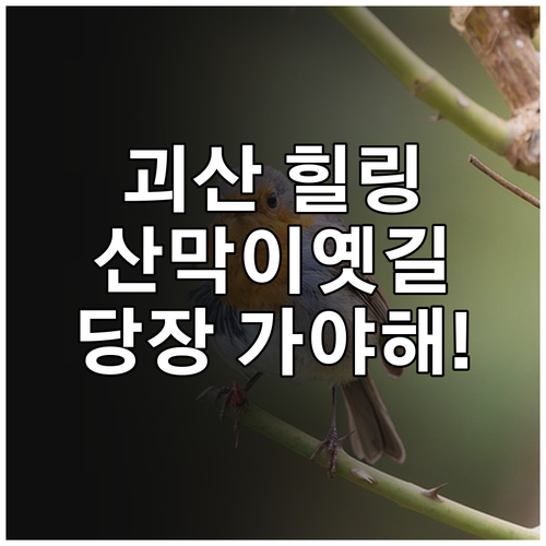 괴산 산막이옛길부터 화양구곡까지 3월..