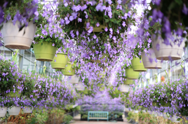 아산 아파트 단지별 상세 분석 — “아산”이라는 도시 안에서도 삶의 체감이 완전히 다른 이유