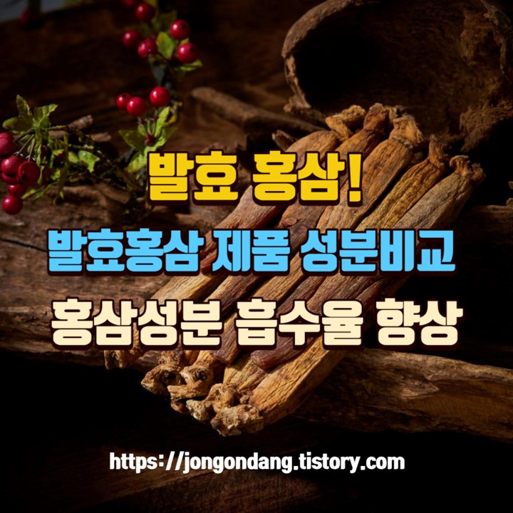 발효 홍삼, 발효 홍삼 제품 성분 비교, 홍삼 성분 흡수율 향상 이미지