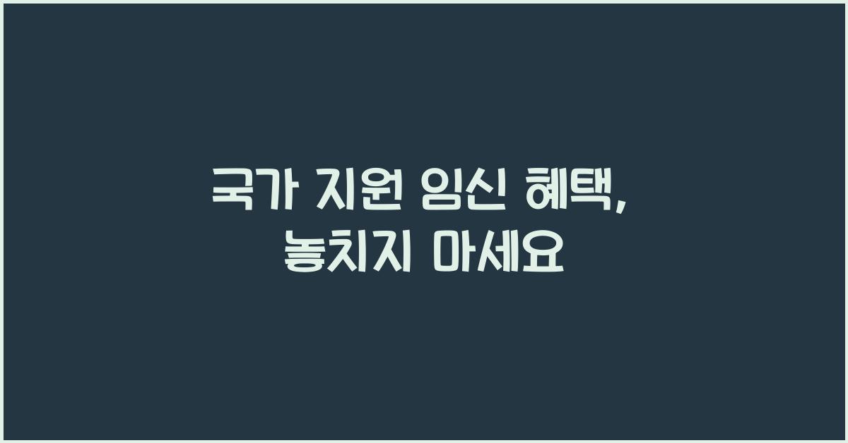 국가 지원 임신 혜택