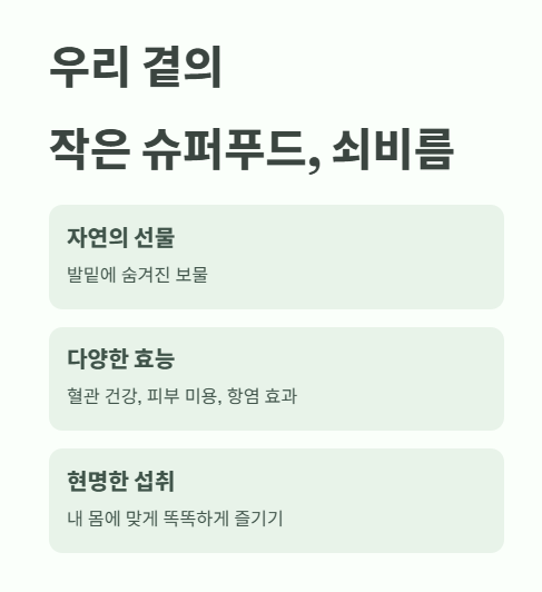 우리 곁의 작은 슈퍼푸드&amp;#44; 쇠비름