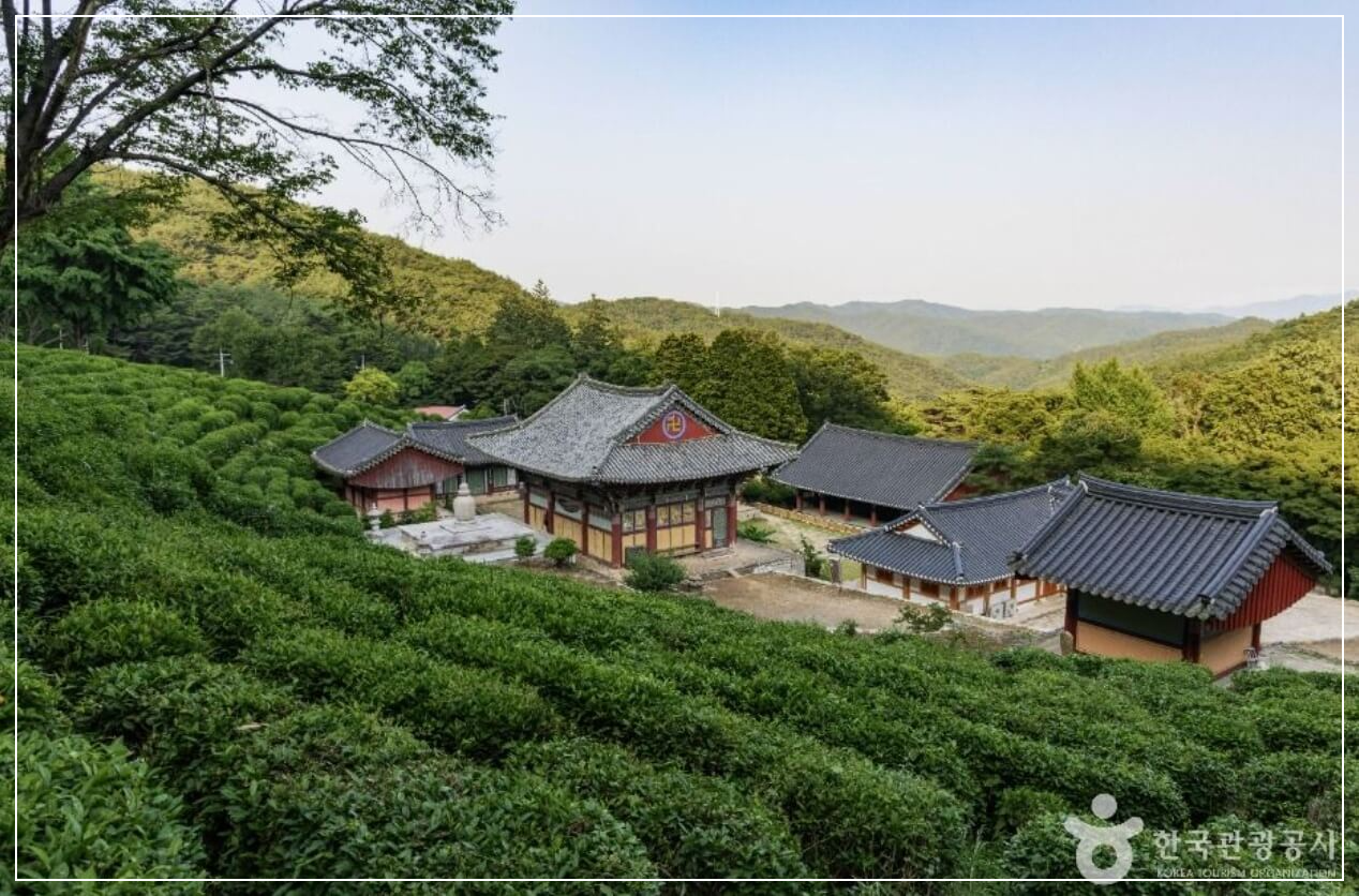 사천 가볼만한곳 베스트10 다솔사