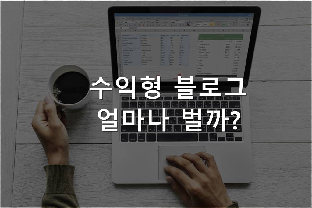 수익형 블로그 수입