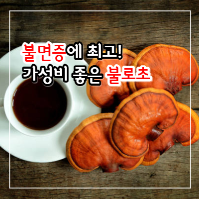 영지버섯 효능과 부작용 및 먹는 방법
