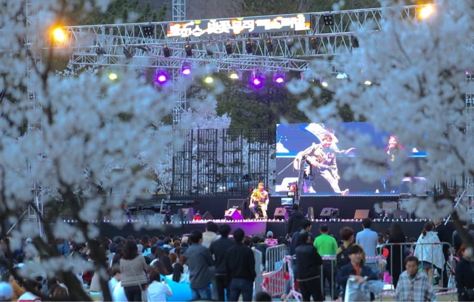 [4월 축제]2025 대덕물빛축제｜벚꽃축ㅈ, 점등시간, 일정, 기간, 공연, 프로그램