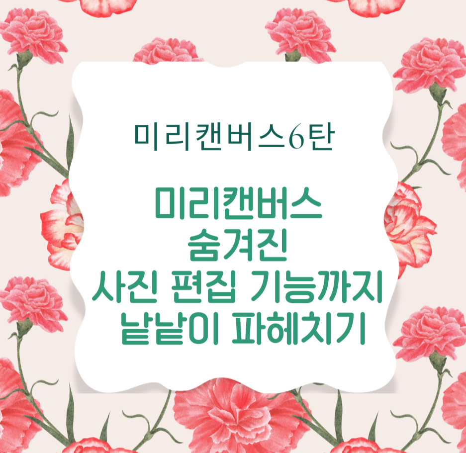 [미리캔버스 6탄] 미리캔버스 숨겨진 사진 편집 기능까지 낱낱이 파헤치기