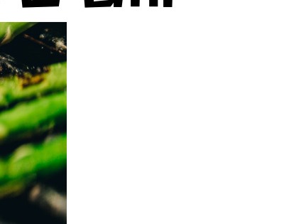 아스파라거스 효능