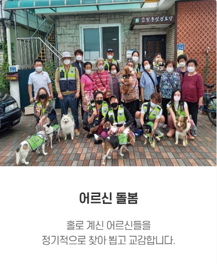 서울 반려견 순찰대