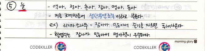눈